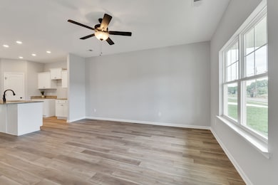 223 Hannah Lee Hill, La Vergne, TN 37086 - photo 3