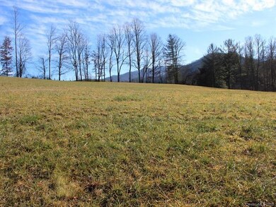 456 Maney Branch Rd, Burnsville, NC 28714 - photo 4