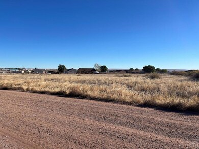356 S Tanager Ct, Pueblo West, CO 81007 - photo 4