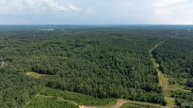 0 Wilkinson Rd, Fayette, AL 35555 - photo 2