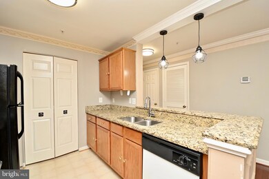 14162 Cuddy Loop unit 201, Woodbridge, VA 22193 - photo 5