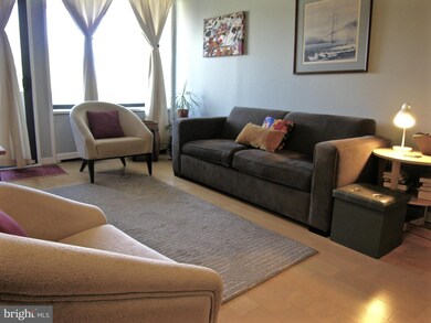 Tiber Island unit N403, Washington, DC 20024 - photo 6