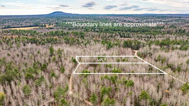 M10L29A4&5 Miller Ln, Surry, ME 04684 - photo 4