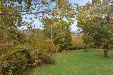 403 Shiloh Ln, Kimberling City, MO 65686 - photo 2