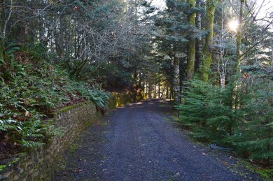 186 Whitewater Rd, Longview, WA 98632 - photo 5