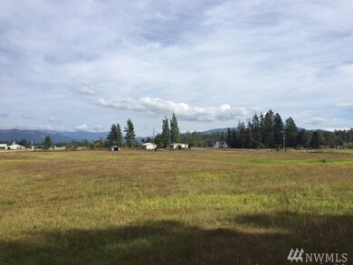 1520 E Hemmi Rd, Everson, WA 98247 - photo 3