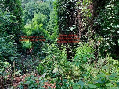 90 Wyatt St, Asheville, NC 28803 - photo 3