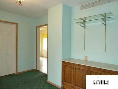 319 Home Ave, Lincoln, IL 62656 - photo 4