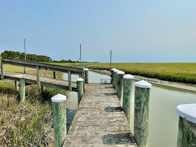 Lot 55 Lewis Ln unit 55, Parksley, VA 23421 - photo 7