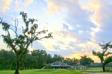 Lot 816 Hidden Lagoon Dr, Shellman Bluff, GA 31331 - photo 7