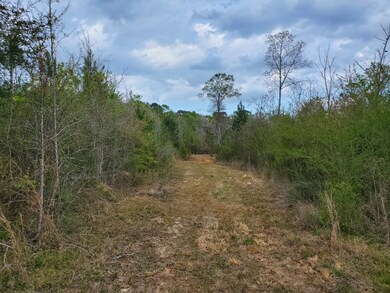 Xx Enterprise Rd, McComb, MS 39648 - photo 7