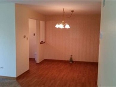 11045 S Theresa Cir unit 1C, Palos Hills, IL 60465 - photo 6