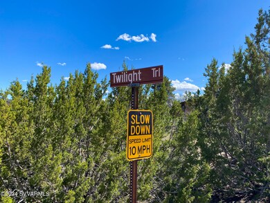 IMG_9518