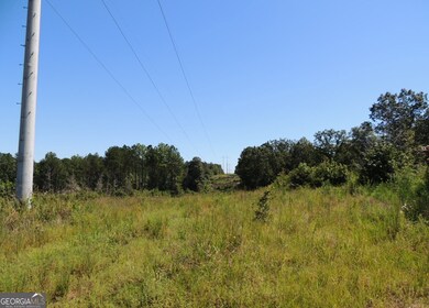 57+/- AC Victory Rd, Franklin, GA 30217 - photo 6