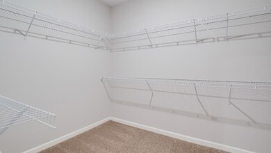 Spacious closet with carpet