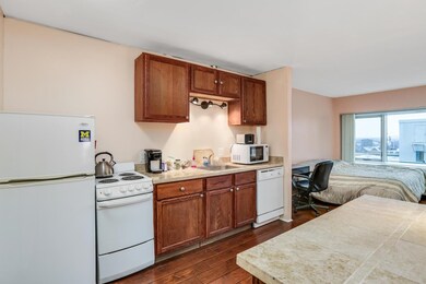 Tower Plaza unit 12L, Ann Arbor, MI 48104 - photo 4
