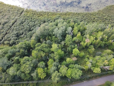 0 Thelen Rd, Riverview, WI 54149 - photo 4