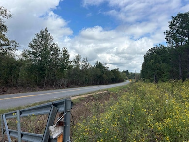 TBD Highway 57, Chidester, AR 71726 - photo 4