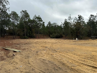 6587 Alpine Rd, Dunnellon, FL 34431 - photo 3