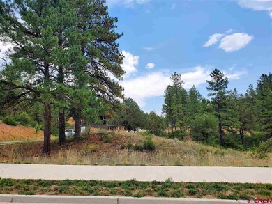 38 Wood Rose Ln, Durango, CO 81301 - photo 4