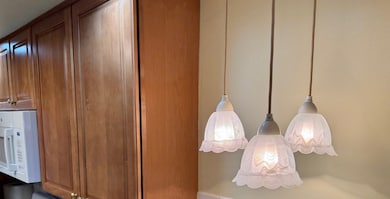 825 Pearson St unit 3D, Des Plaines, IL 60016 - photo 7