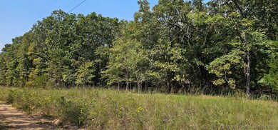 00000 E 994 Rd, Redbird Smith, OK 74435 - photo 7