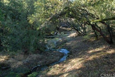 Seasonal creek babbles down to a small pond.
