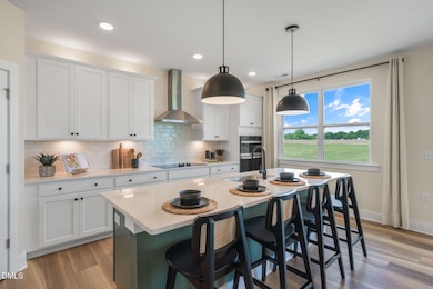 41 Stuart Grove Rd, Broadway, NC 27505 - photo 4