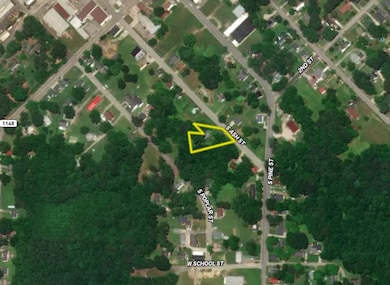 314 S Ash St, Spring Hope, NC 27882 - photo 2