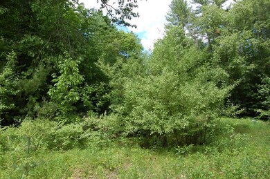 Lot 33 Nevins Rd, Hollis, NH 03054 - photo 2