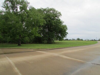 back down Saddle Cr.