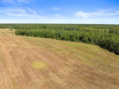 0 Deen Still Rd unit MFRO6337157, Polk City, FL 33868 - photo 7