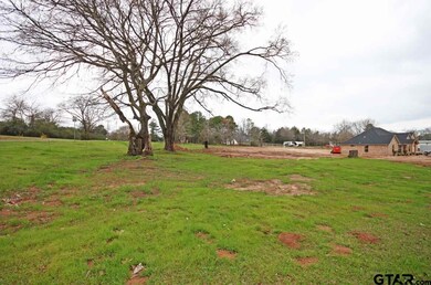 10840 County Road 2335, Tyler, TX 75707 - photo 2