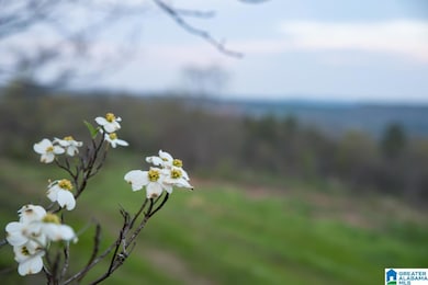 4947 U S 231 unit 5, Vincent, AL 35178 - photo 6