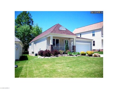 Front View Summer
