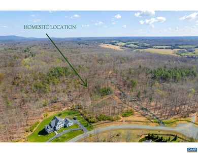 2317 Grey Heron Rd unit A, Keswick, VA 22947 - photo 2