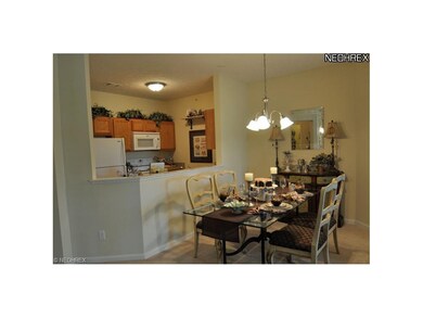 717 Aqua Marine Blvd unit 717, Avon Lake, OH 44012 - photo 4