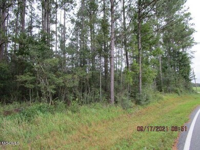 Nhn Stonecypher Rd, Lucedale, MS 39452 - photo 2