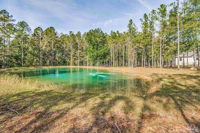 2329 Molino Bridge Rd, Milton, FL 32571 - photo 4