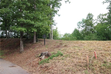 1034 Ainu Ct, Dahlonega, GA 30533 - photo 2