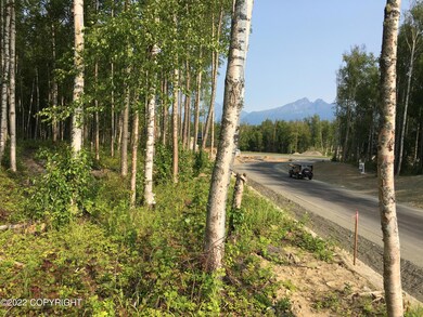 Pioneer Peak Views from Lot 11