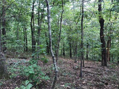 0 Burghley Ln unit 1126667, Bella Vista, AR 72714 - photo 2