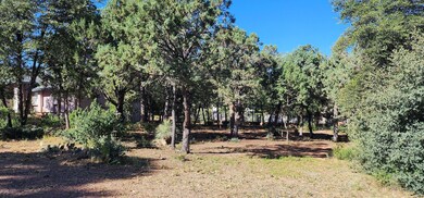 Lot 58 Alpine Heights (2)
