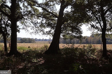 61 ACRES Barnesville Hwy, the Rock, GA 30285 - photo 7