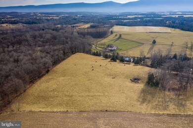 1000 Swover Creek Rd, Edinburg, VA 22824 - photo 4