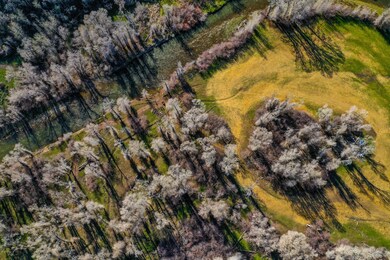 DJI_0082