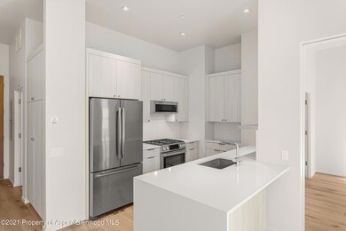 101 Willits Way unit 202, Basalt, CO 81621 - photo 3