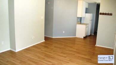 203 S Mitchell St unit 2, San Marcos, TX 78666 - photo 4