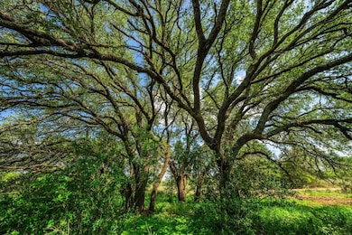 7602 County Road 113, Llano, TX 78643 - photo 7