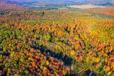 0 Fellows Rd unit 4887186, Guildhall, VT 05905 - photo 4